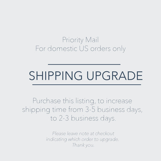 PRIORITY MAIL Shipping Upgrade - Increase Shipping Time to 2-3 Days